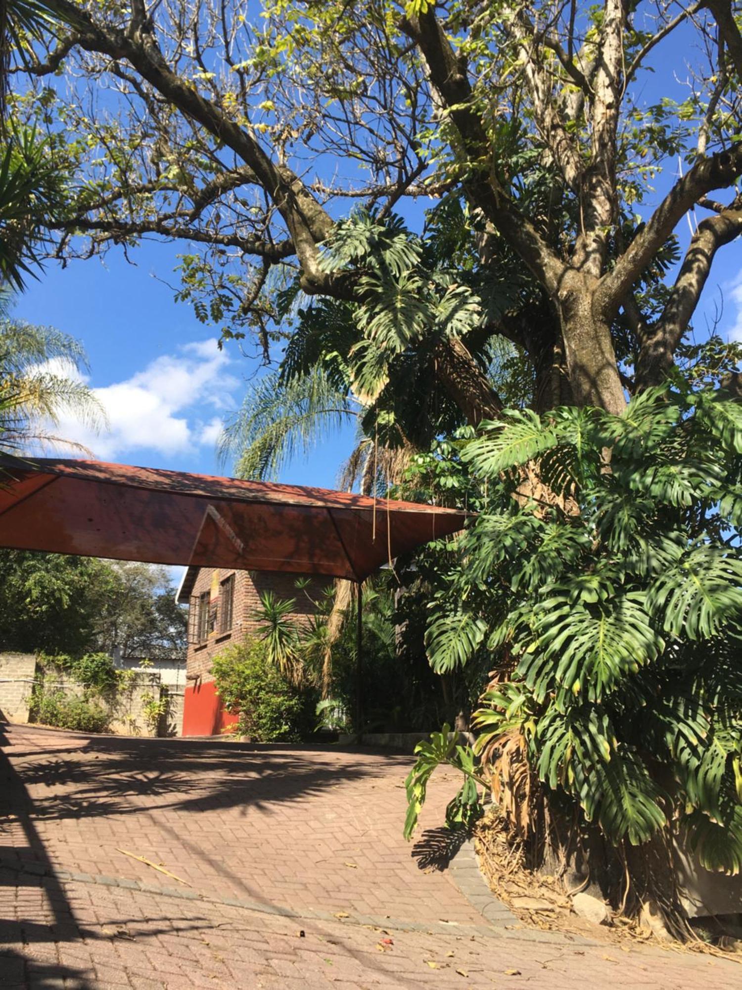 Old Vic Travellers Inn Nelspruit Mbombela Dış mekan fotoğraf